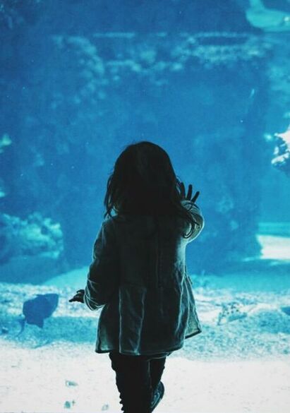 Picture: girl in aquarium. Links to museum case study